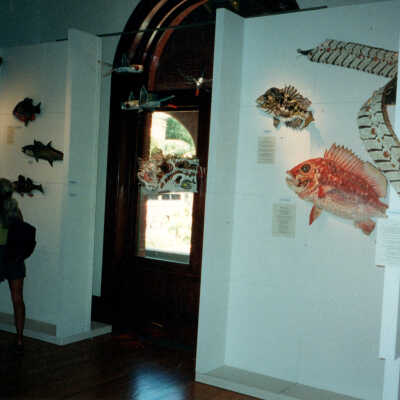 Captain Honk Exhibit