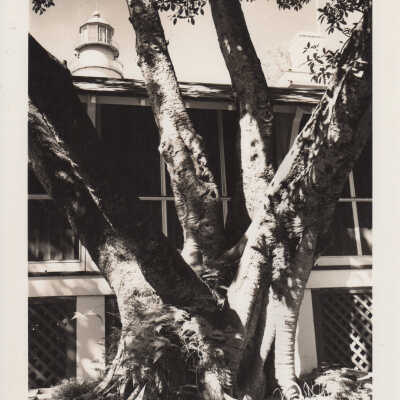 The Key West Lighthouse