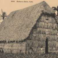 Tobacco Barn, Cuba