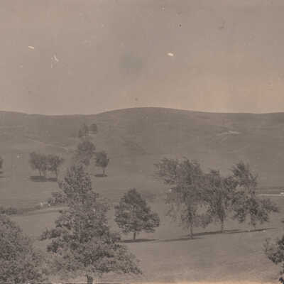 Unknown hills and trees