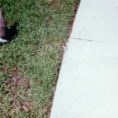 Key West Lighthouse grounds: Copyright: © Key West Art & Historical Society; Origformat: Print-Photographic