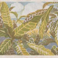 Crotons, Key West