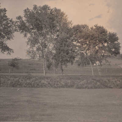 Unknown hills and trees
