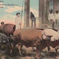 Delivering Water to Residences, Cuba