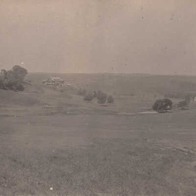 Unknown hills and trees