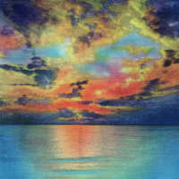 Nature at its Grandest in the Sunshine State, Florida