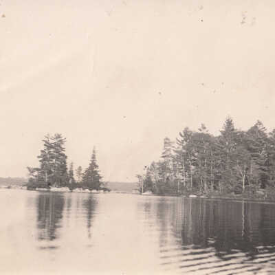 Unknown lake and trees