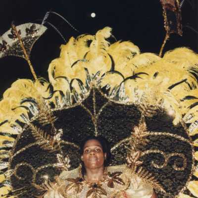 Unknown person dressed up for the parade.