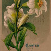 Easter Greetings