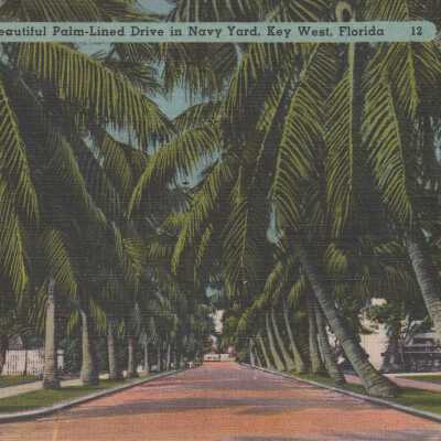 Beautiful Palm-Lined Drive in Navy Yard, Key West, Florida