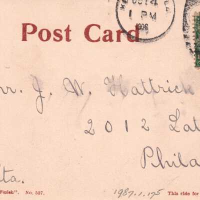 Cocoanuts, bloom, and leaves, Key West