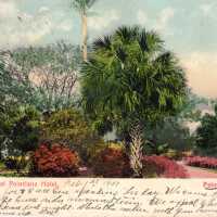 Walk at Royal Poinciana Hotel, Palm Beach, Fla.