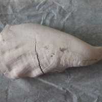 Shell Tool