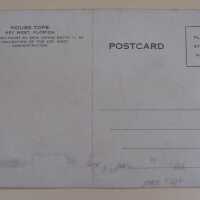          Postcard (back)
   