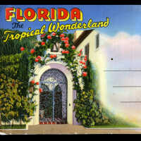 Florida: The Tropical Wonderland