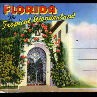 Florida: The Tropical Wonderland
