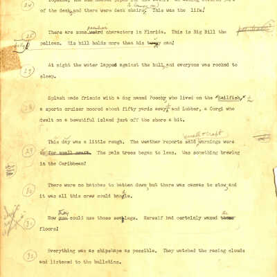 Manuscript Page 'The Sea Dog'