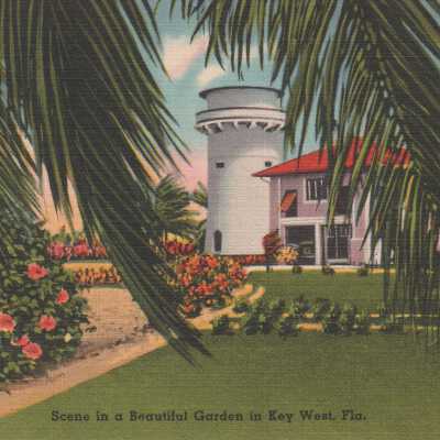 Scene in a Beautiful Garden in Key West, Fla.