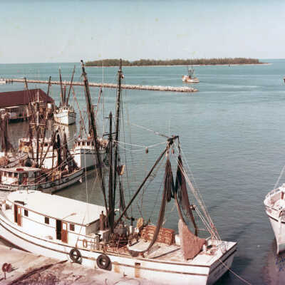 Shrimp Boats in Key West Bight