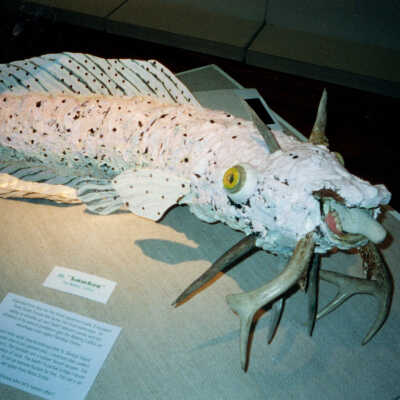 Captain Honk Exhibit