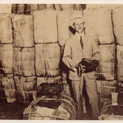 Man in a Tobacco factory in Cuba