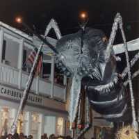 A huge bug float in front of the Caribbean Gallery.