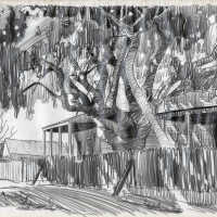 Backyard Banyan