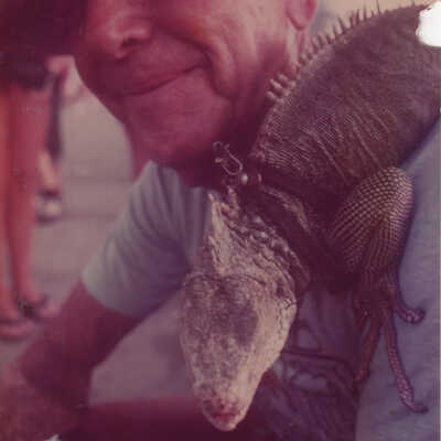 Key West Iguana man