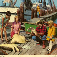 Turtle Kraal, Key West, Fla.