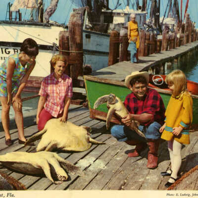 Turtle Kraal, Key West, Fla.