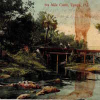 Six Mile Creek, Tampa, Florida