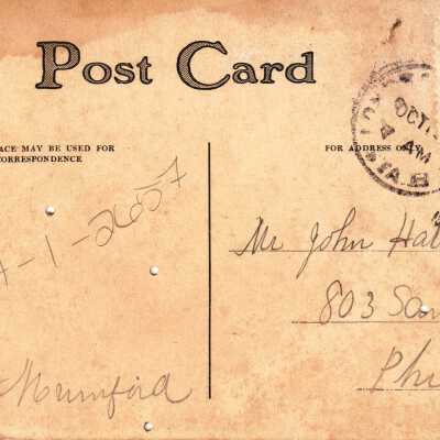 Cows in a field: © Key West Art & Historical Society