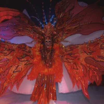 Unknown person dressed up.