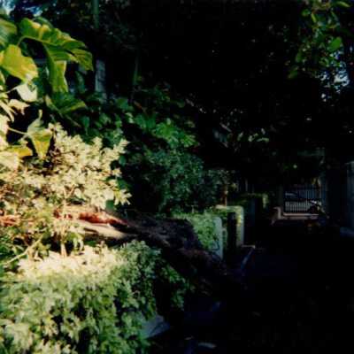 Key West Lighthouse grounds: Copyright: © Key West Art & Historical Society; Origformat: Print-Photographic