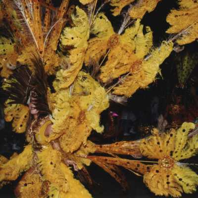 Unknown person dressed up.