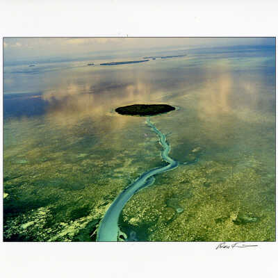 Aerial View of Mangrove Island