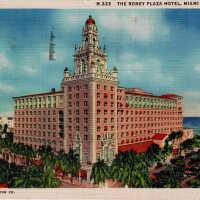 The Roney Plaza Hotel, Miami Beach