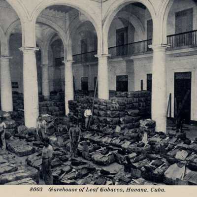 Warehouse of Leaf Tobacco, Havana, Cuba