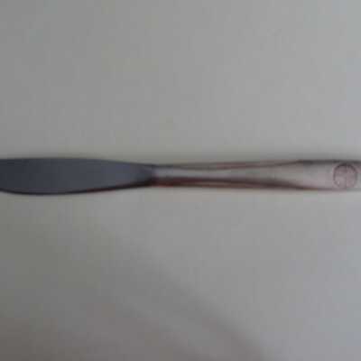 Pan American Airways Butter Knife