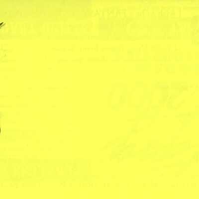 Fantasy Fest Brochure.