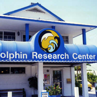 Dolphin Research Center Sign