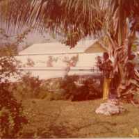 A yard