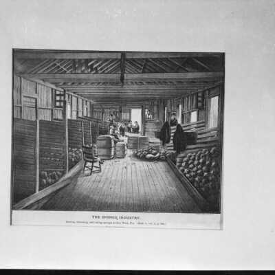 The Sponge Industry: Copyright: © Key West Art & Historical Society; Origformat: Negative; Resolution: 600 dpi