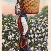          Man carrying a basket of cotton
   