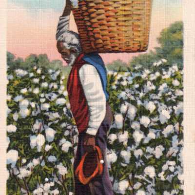 Man carrying a basket of cotton