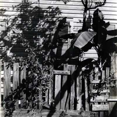 Key West Fence: Copyright: © Key West Art & Historical Society