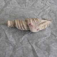 Shell Tool