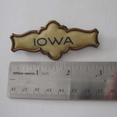 Iowa 51st Volunteers Pin