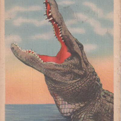 'Drop in Any Time' in Florida