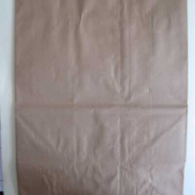 Pan Am Air Sickness Bag